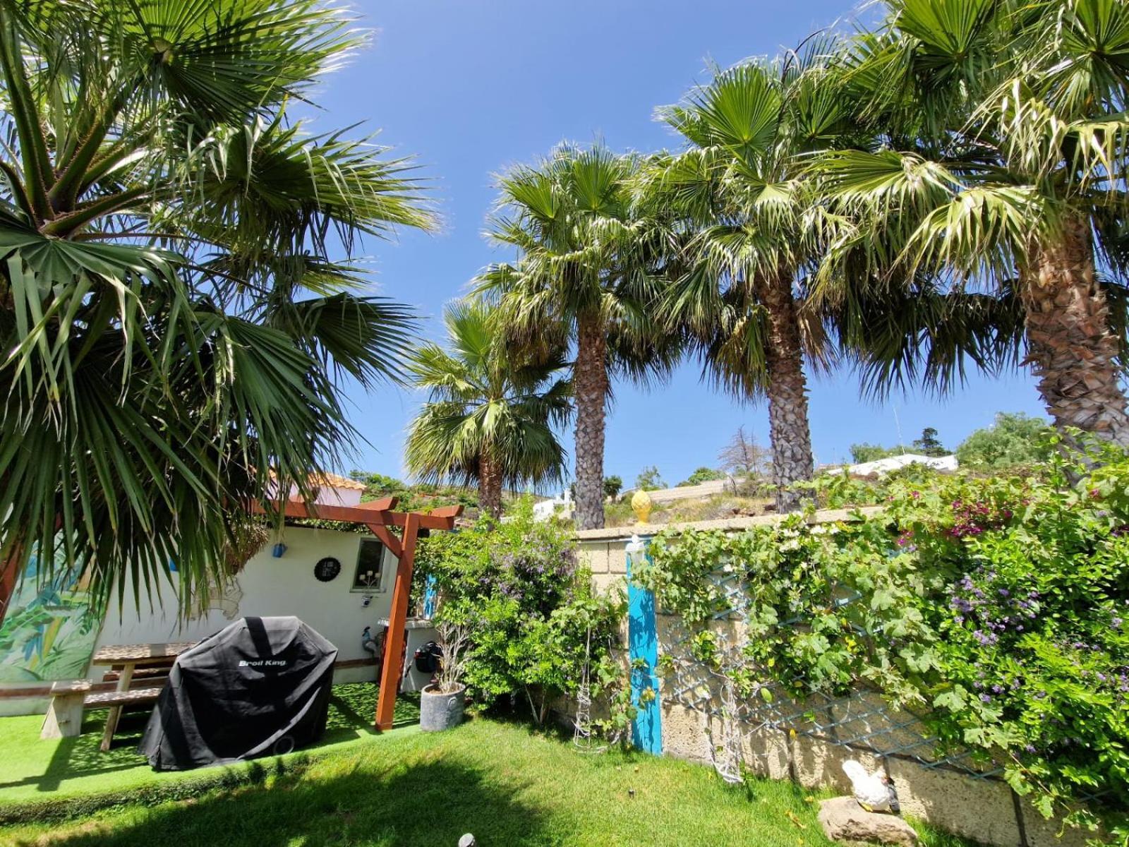 Escape To Finca Conejo, Typical Canarian House Private Jacuzzi, Sauna, Gym, Finca Conejo Taucho By Aqua Vista Tenerife Costa Adeje  Exterior photo